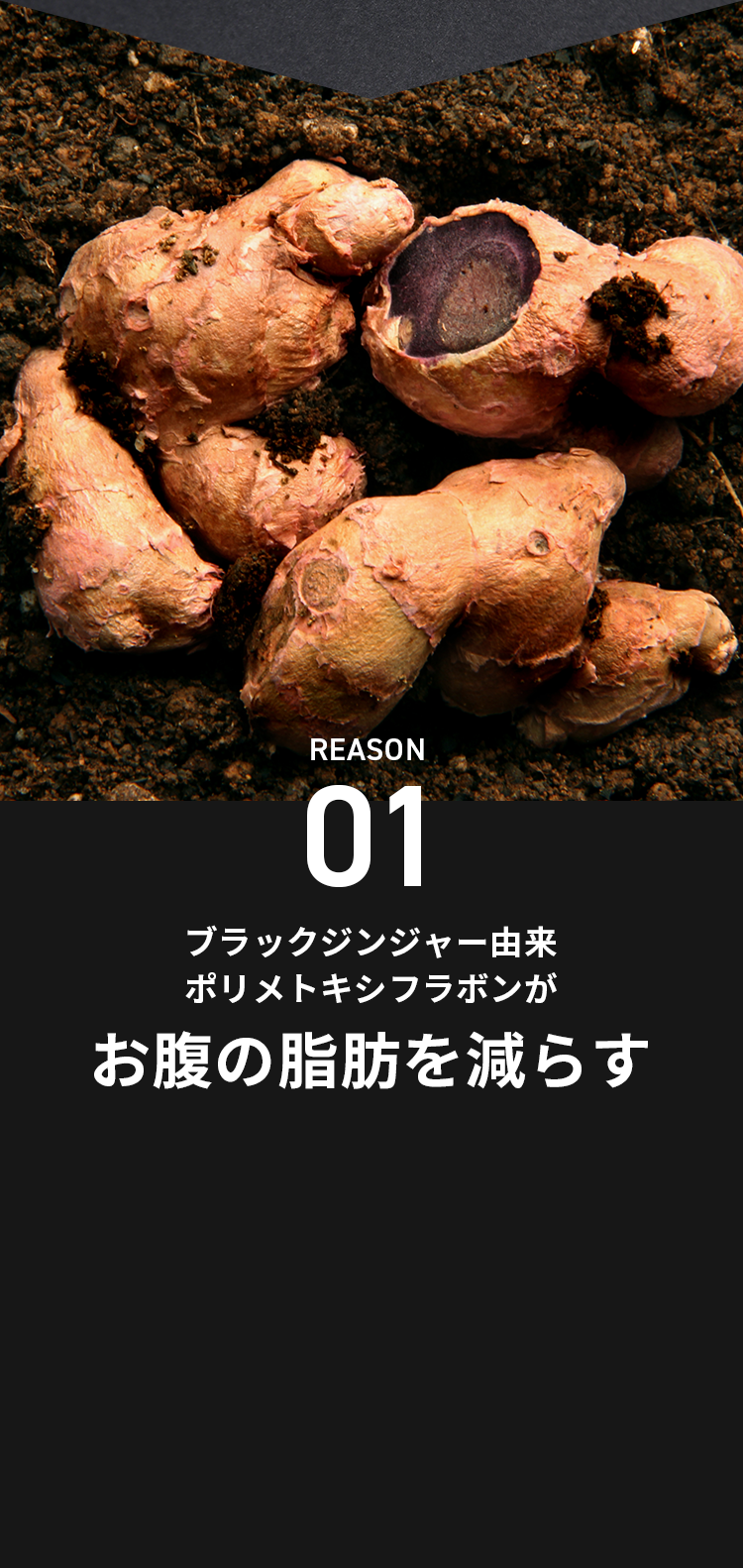 理由1ブラックジンジャー