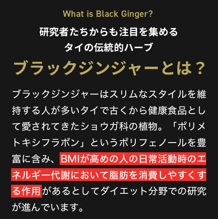 理由1ブラックジンジャー