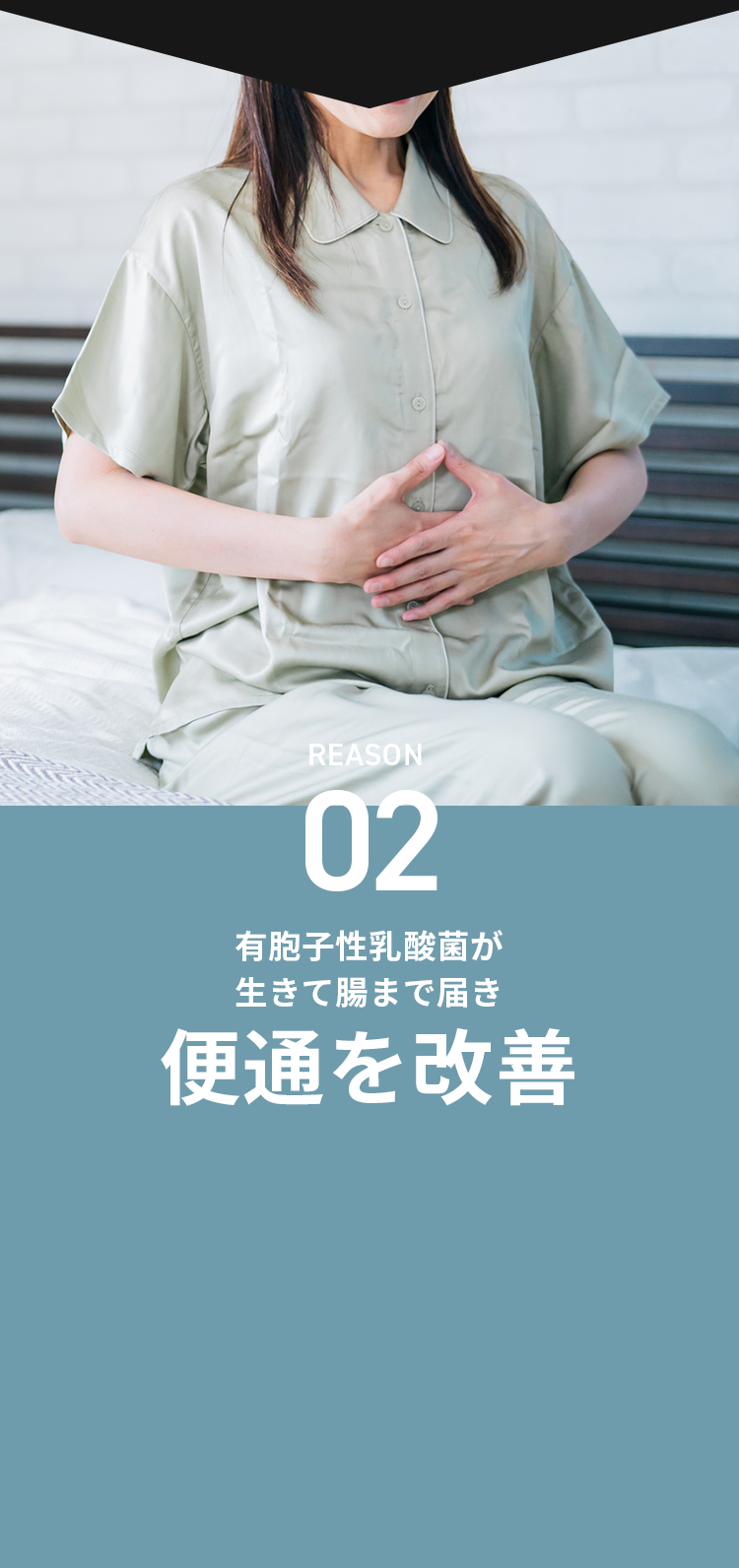 理由2有胞子性乳酸菌