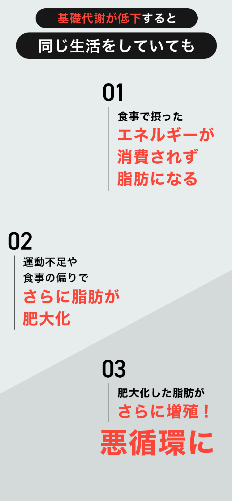 脂肪