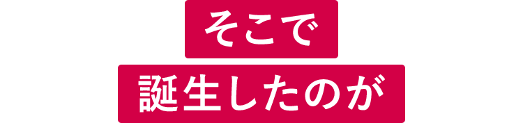 そこで誕生したのが