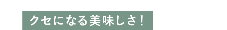 クセになる美味しさ！
