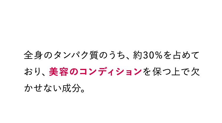 内側から美をサポート 全身のタンパク質のうち、約30%を占めており、美容のコンディションを保つ上で欠かせない成分。