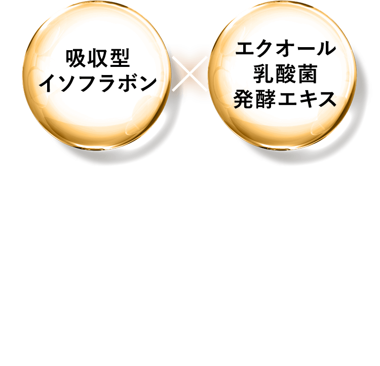 吸収型イソフラボン x エクオール乳酸菌発酵エキス