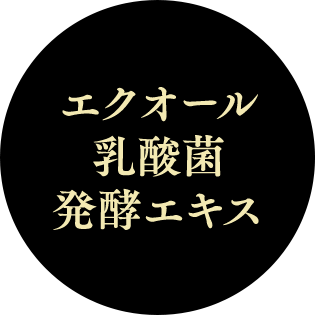 エクオール 乳酸菌 発酵エキス
