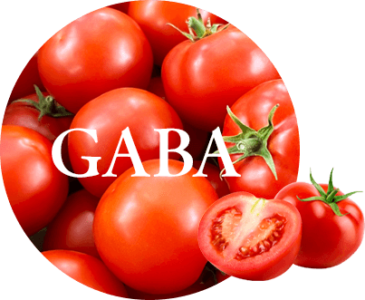 GABA