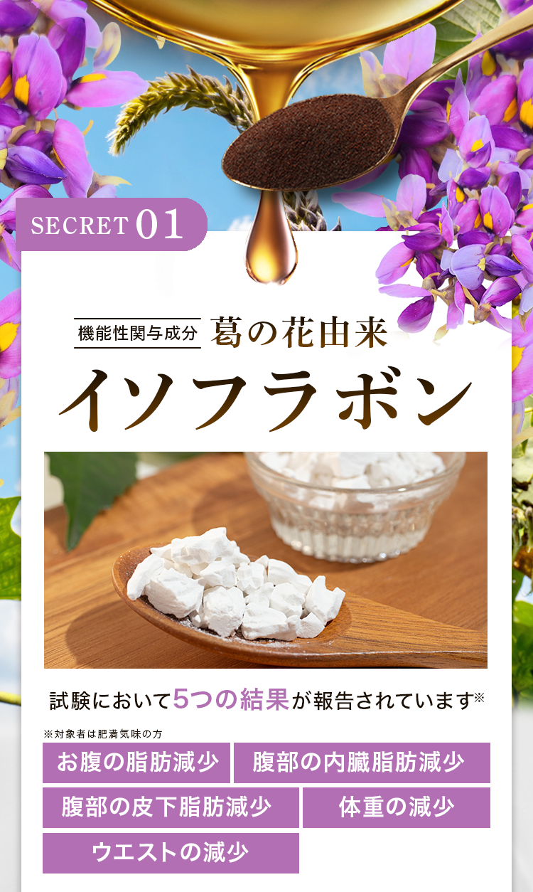葛の花由来イソフラボン