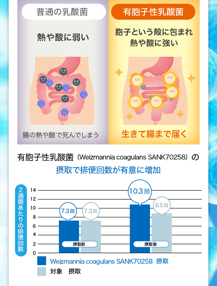 有胞子性乳酸菌