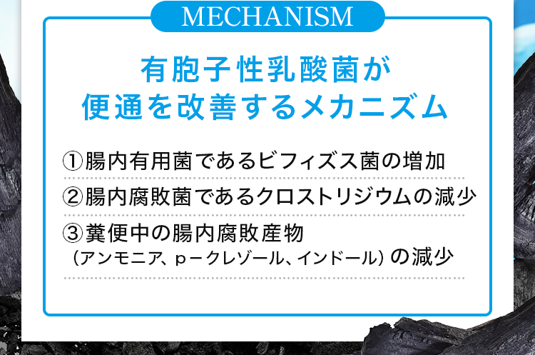 有胞子性乳酸菌