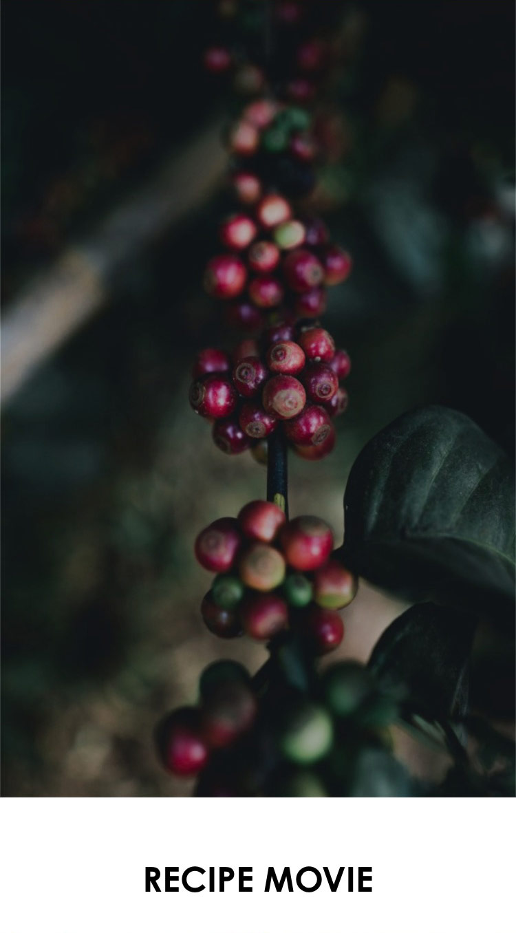 深いコクとほのかな甘み