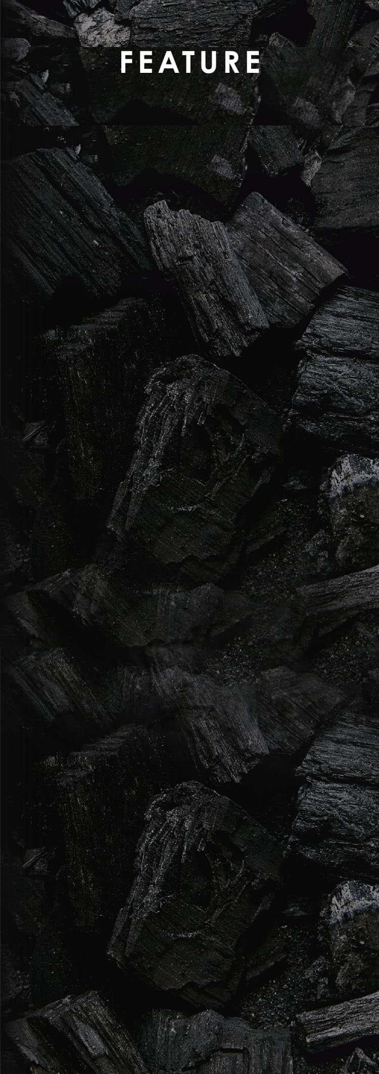 チャコールダイエット特徴